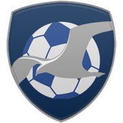 올랜도 매직 엠블럼