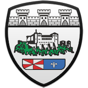 마이애미 히트 엠블럼