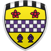 미네소타 팀버울브스 엠블럼